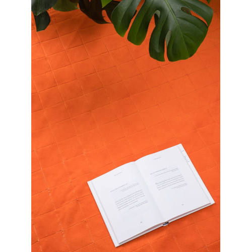 Плед для пикника Soft & Dry 2, оранжевый