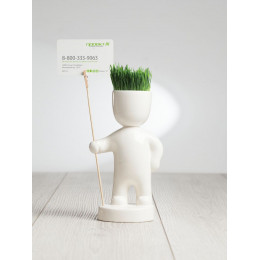 Набор для выращивания Funky Headman