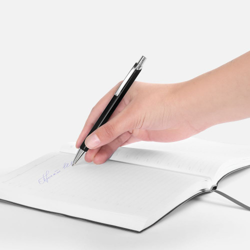 Ручка шариковая Alumno, черная