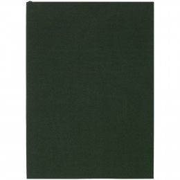 Ежедневник Flat, недатированный, зеленый