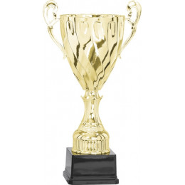 Кубок 3002A (43см) D-180