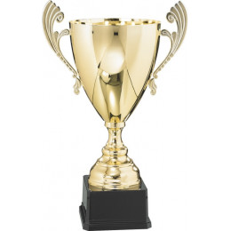 Кубок 3005C (39см) D-160