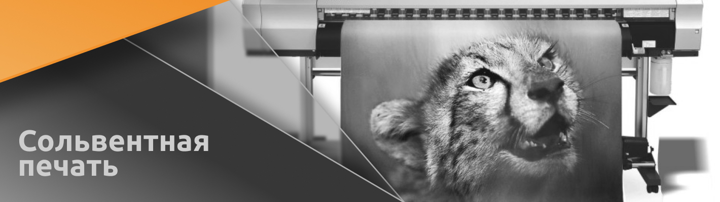 Сольвентная печать