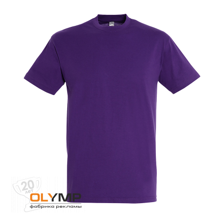 Футболка мужская REGENT